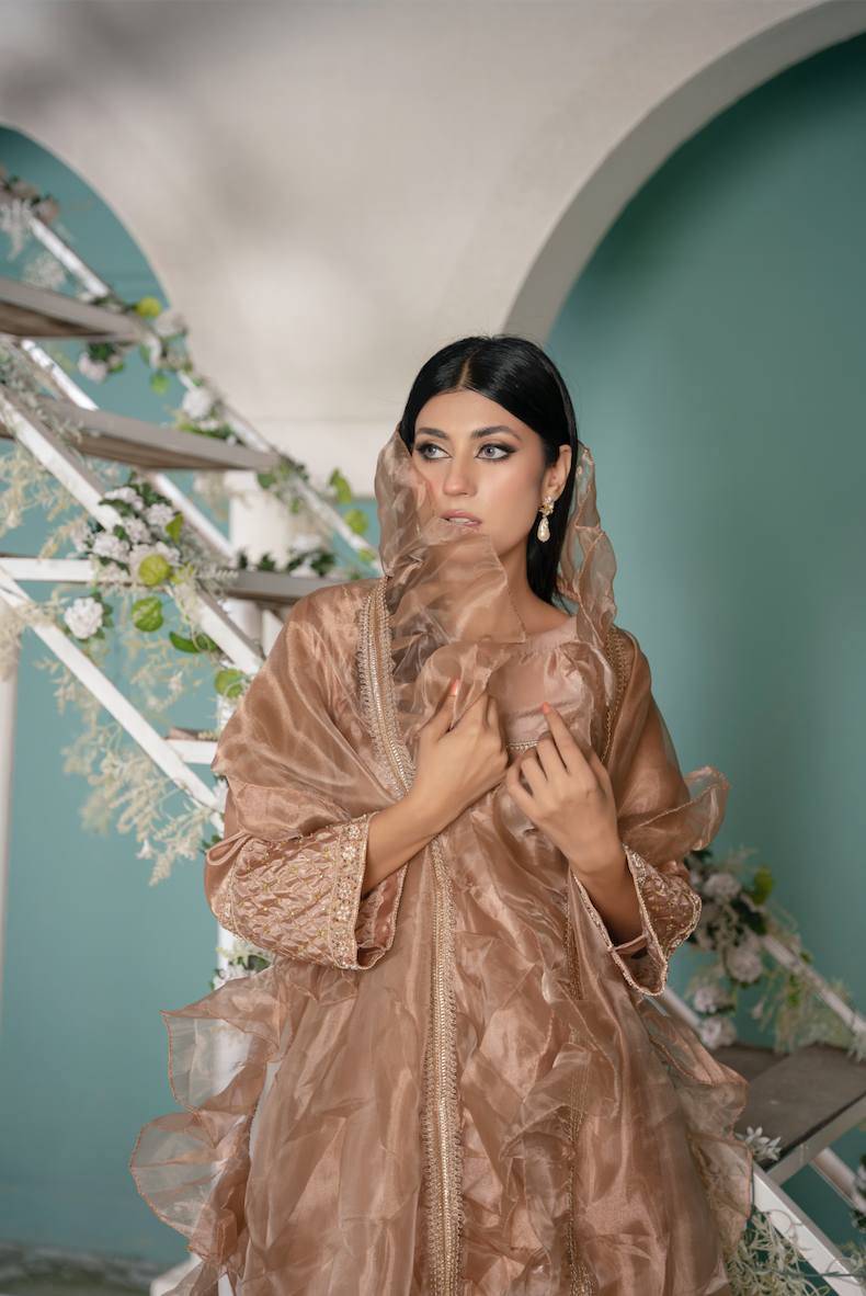HANNAH Beige Zari